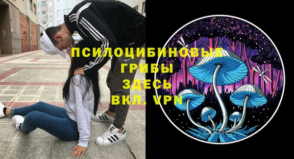 тгк Алзамай