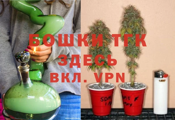 тгк Алексин
