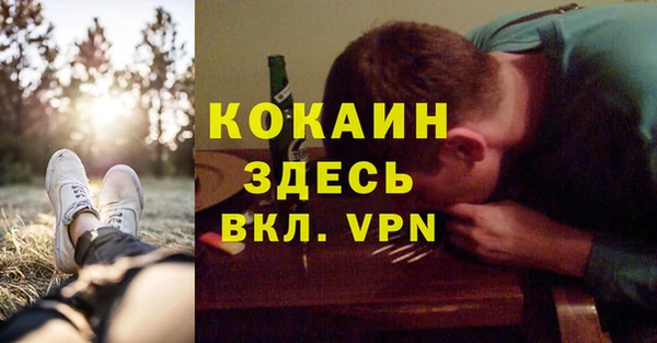 тгк Алзамай